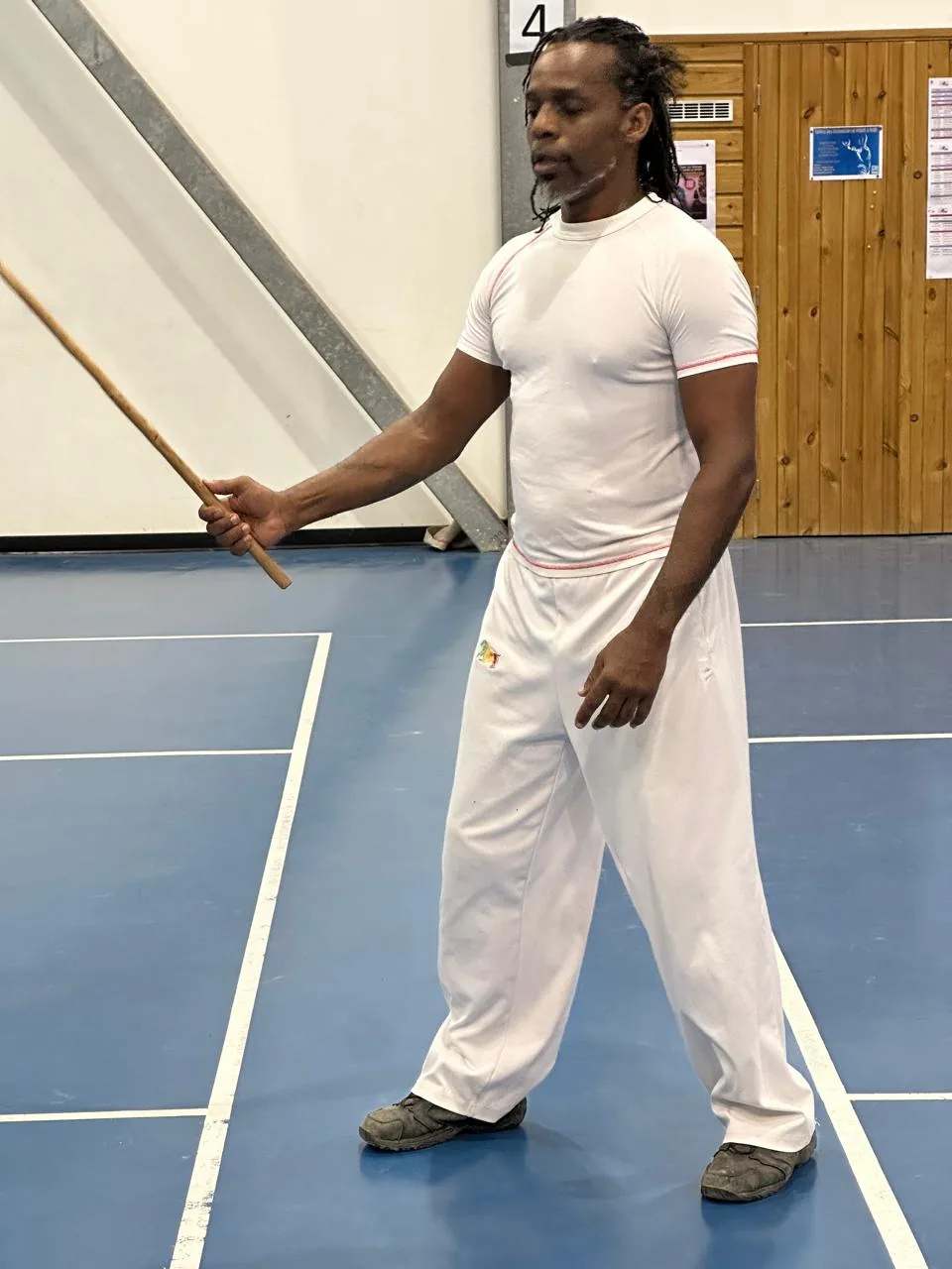 La canne de combat — Savate Boxing 971